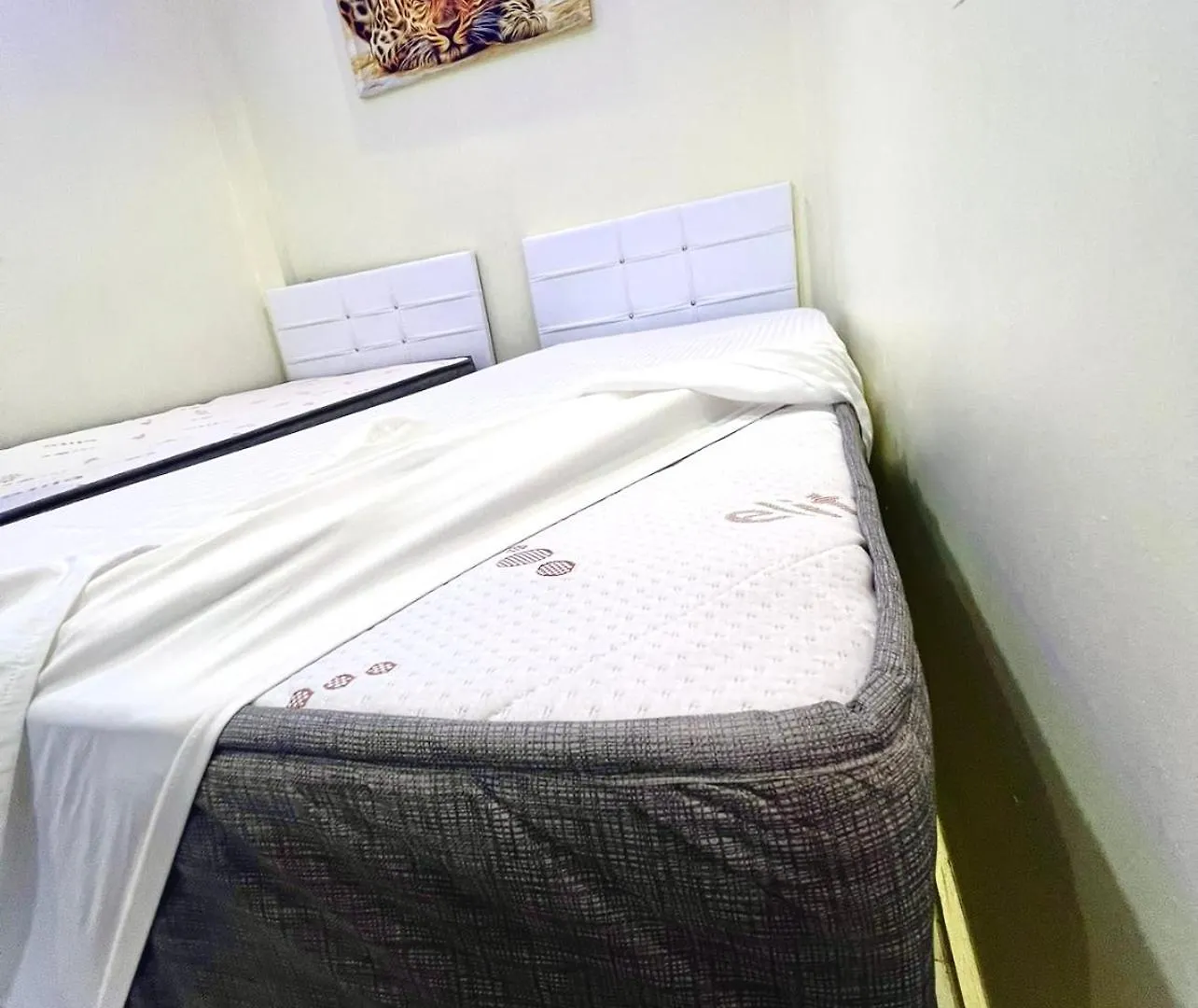 Istanbulun Kral Dairesi Asansoerlue Ve 2 Klimali Apartment Istanbul